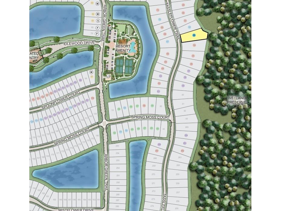 955 Tassleflower Trail Saint Cloud FL 34771 O6341013 image32