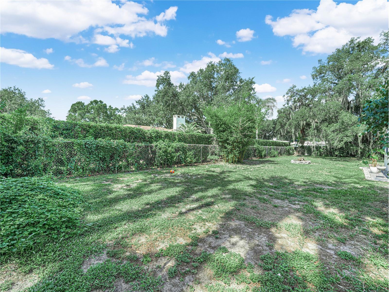 955 Timbergreen Drive Lakeland FL 33809 L4963155 image23