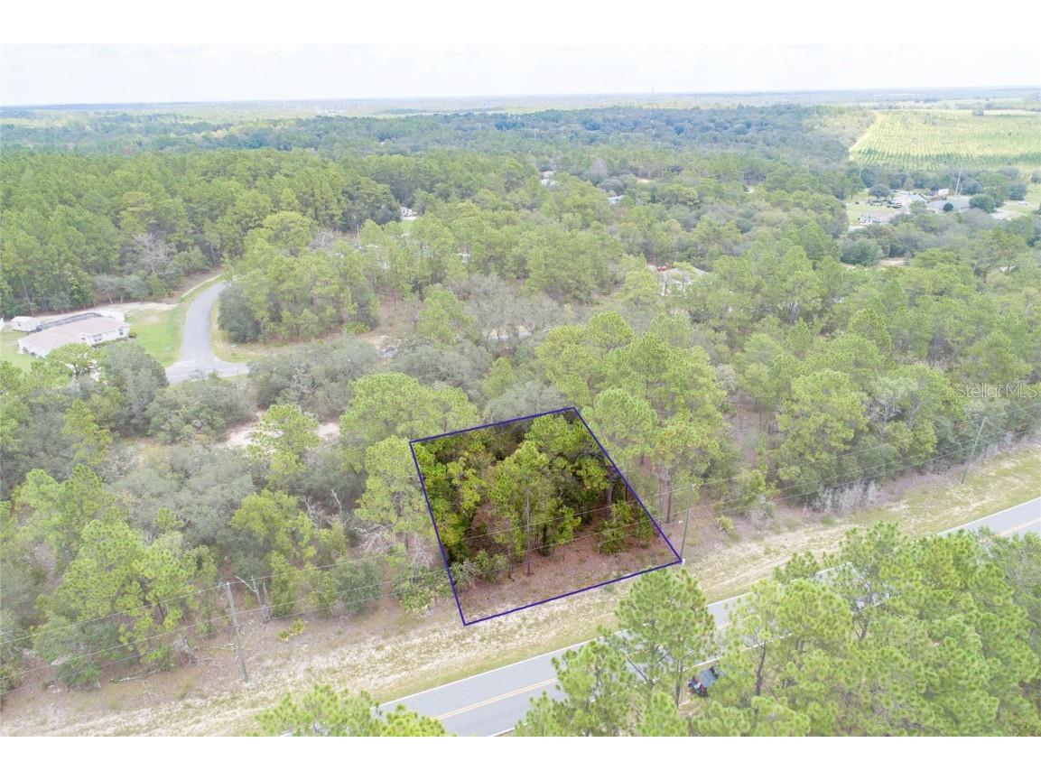 955 W Hampshire Boulevard Citrus Springs FL 34434 OM662827 image1