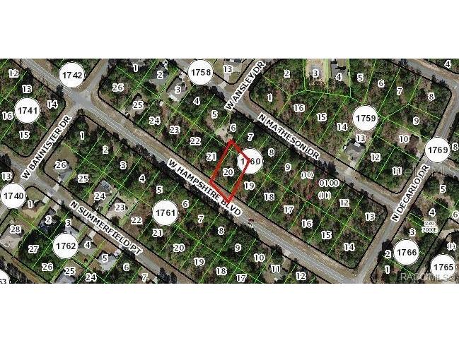 955 W Hampshire Boulevard Citrus Springs FL 34434 W7878100 image2