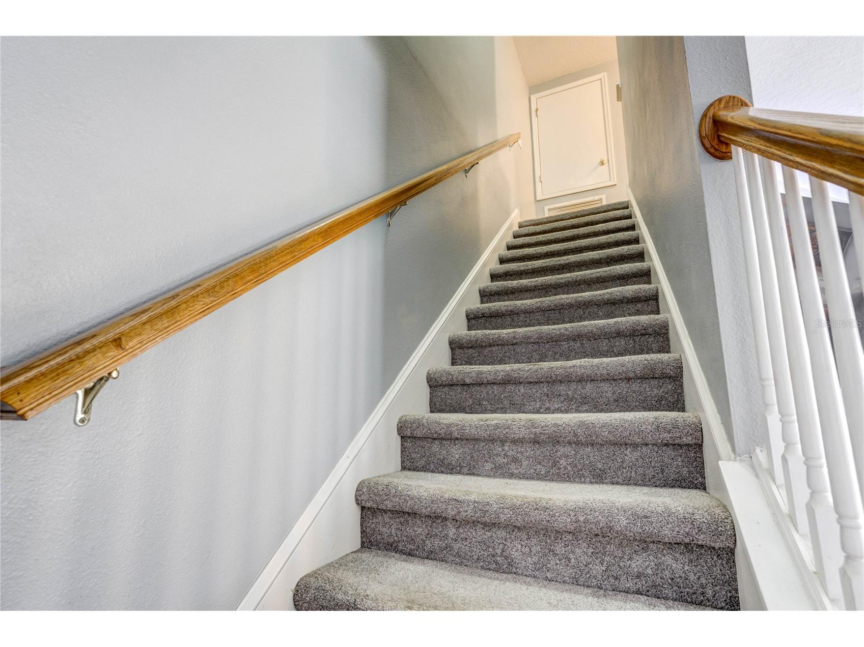 9550 Charlesberg Drive Tampa FL 33635 TB8469089 image20