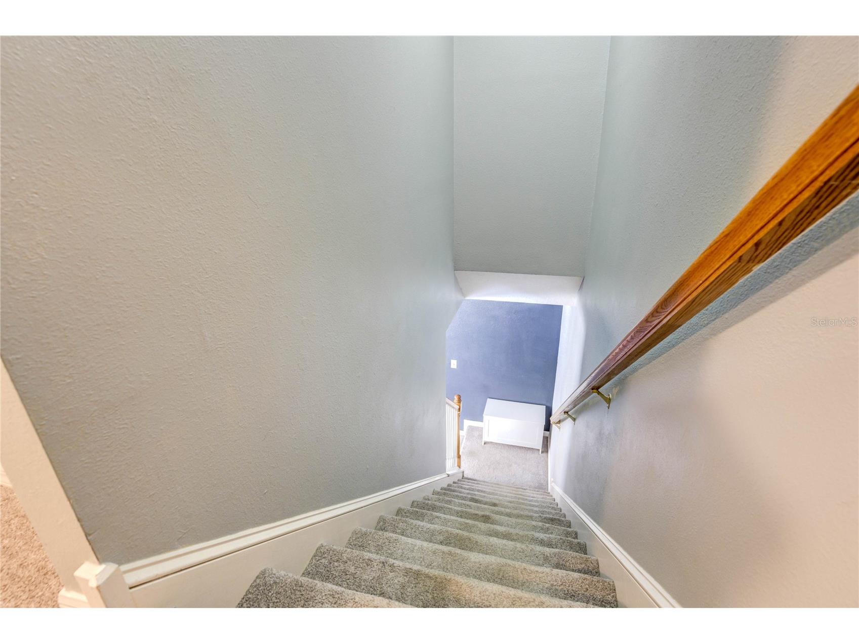 9550 Charlesberg Drive Tampa FL 33635 TB8469089 image21