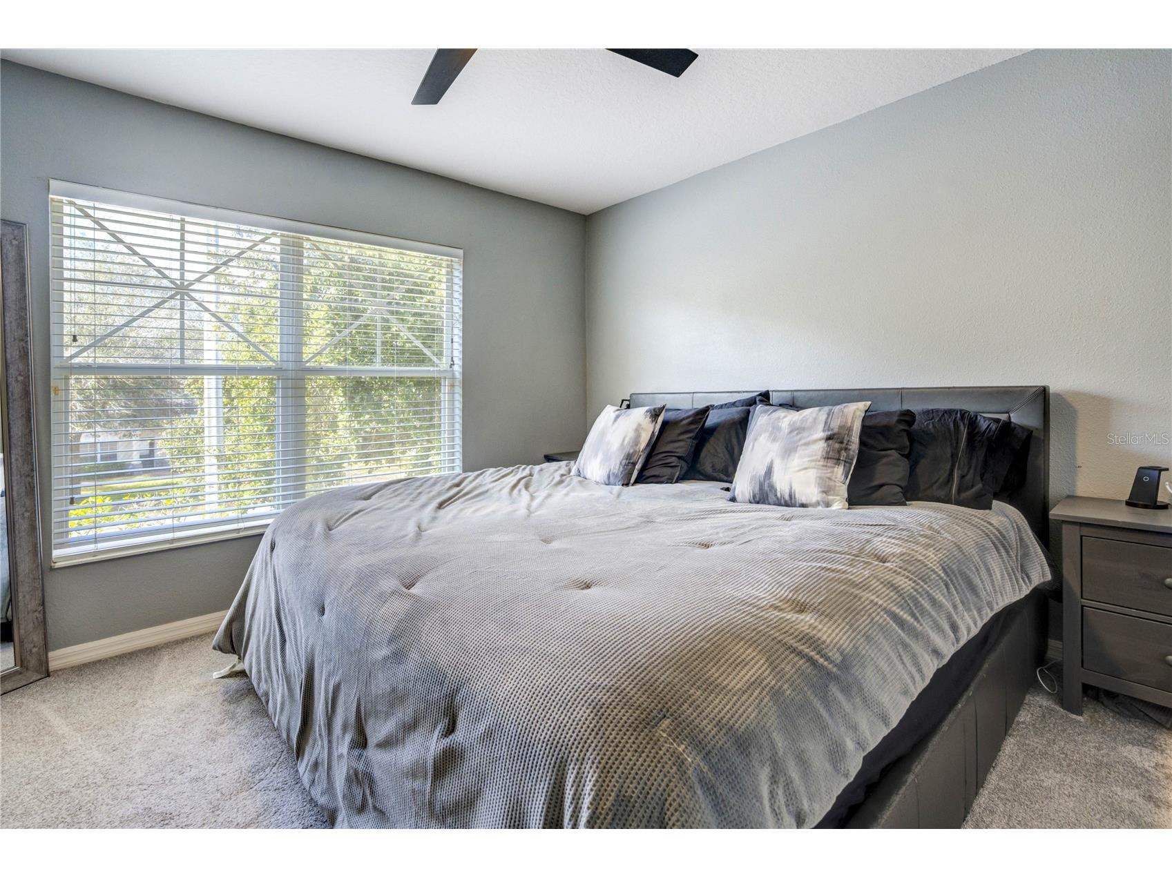 9550 Charlesberg Drive Tampa FL 33635 TB8469089 image22