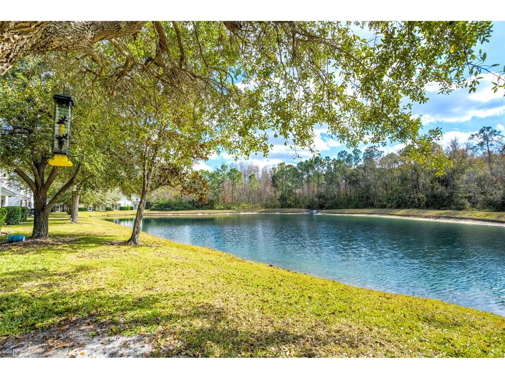 9550 Charlesberg Drive Tampa FL 33635 TB8469089 image34