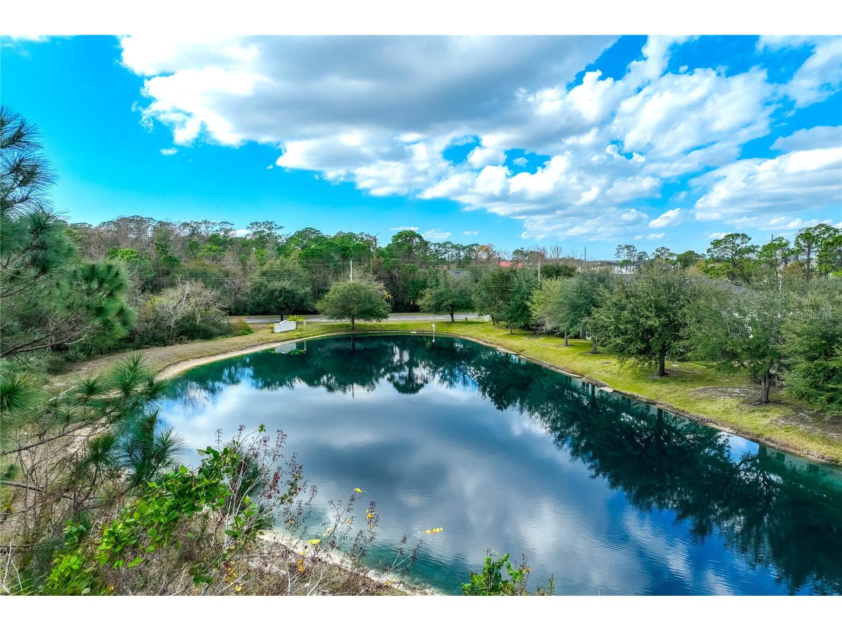 9550 Charlesberg Drive Tampa FL 33635 TB8469089 image35