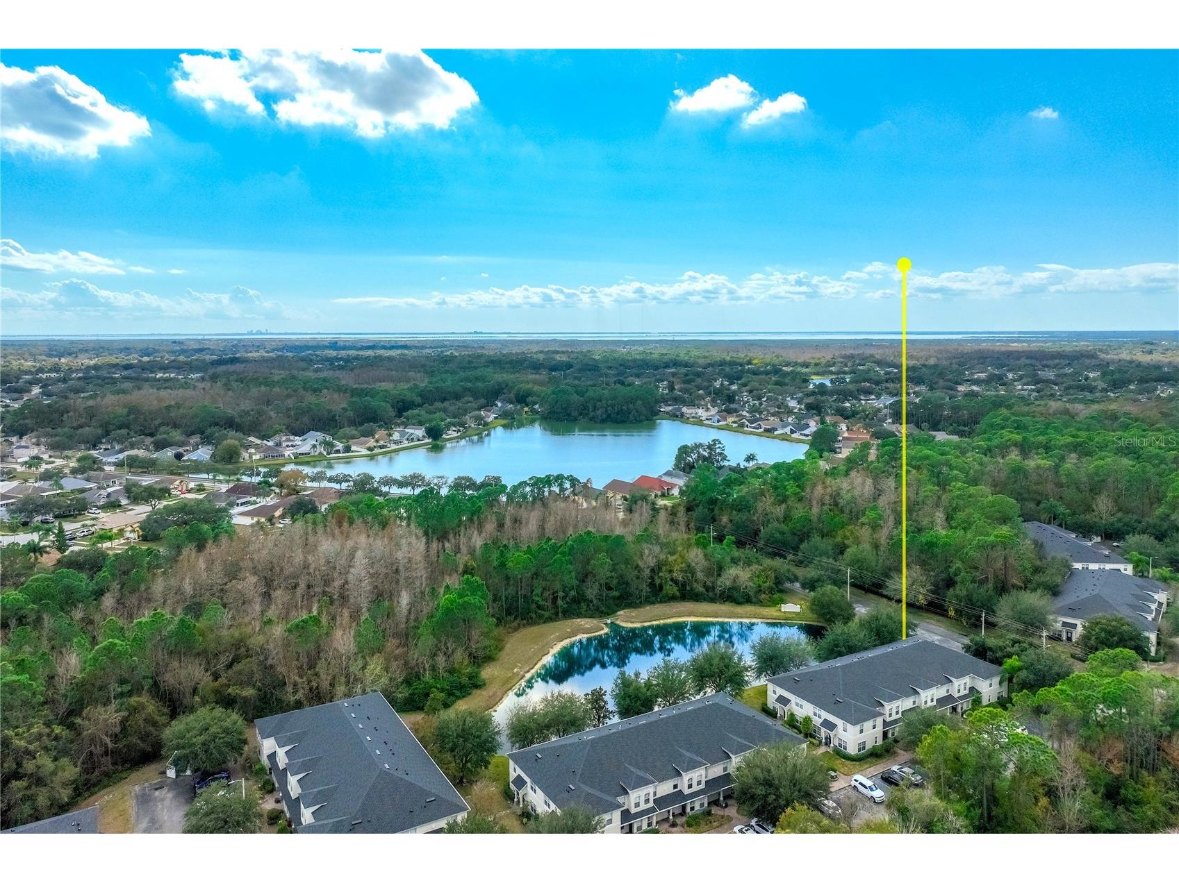 9550 Charlesberg Drive Tampa FL 33635 TB8469089 image38