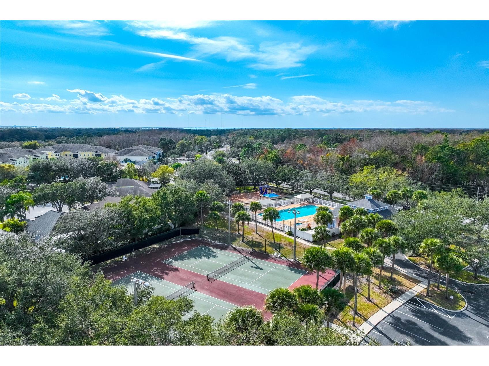 9550 Charlesberg Drive Tampa FL 33635 TB8469089 image39