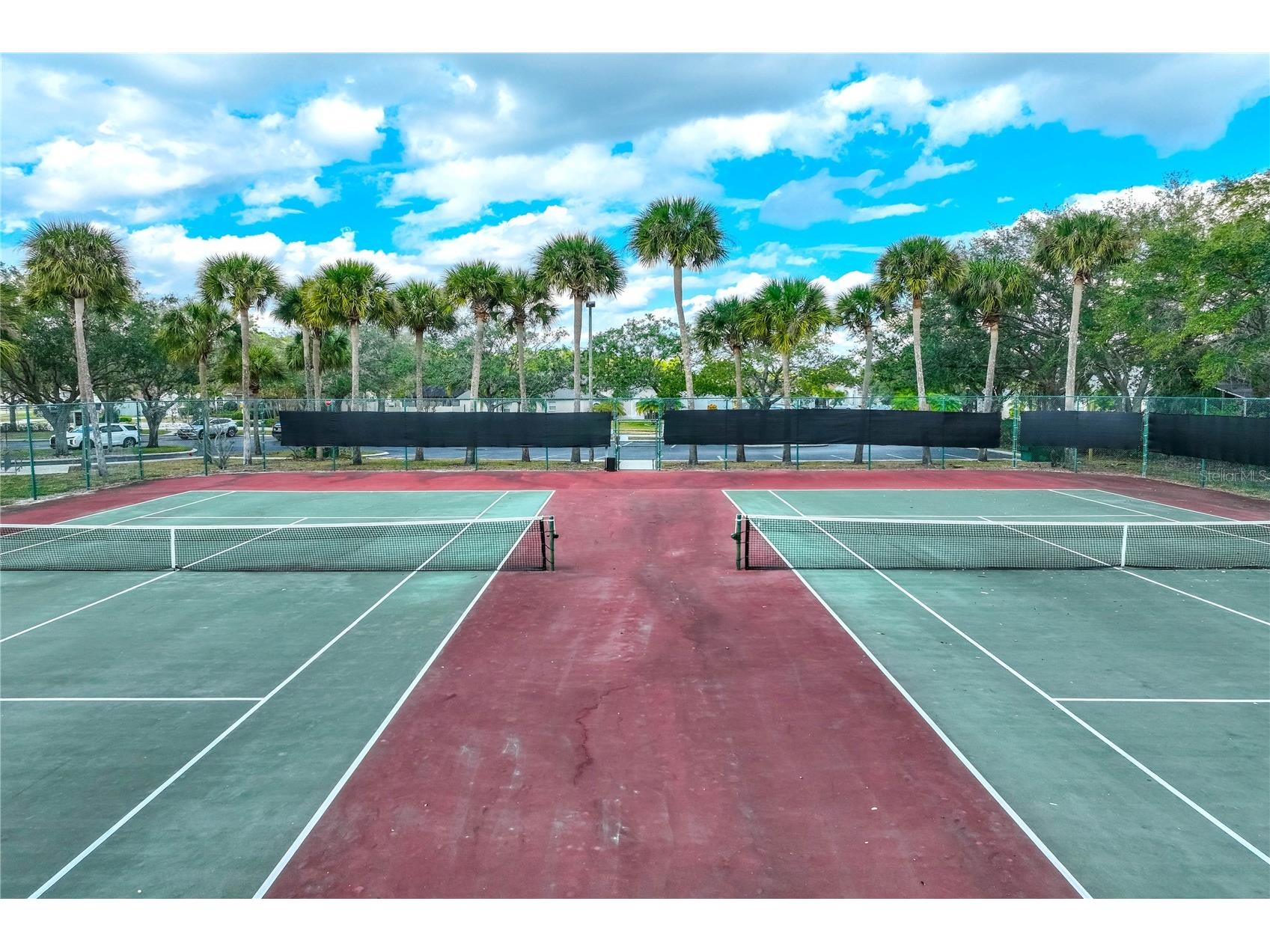 9550 Charlesberg Drive Tampa FL 33635 TB8469089 image40