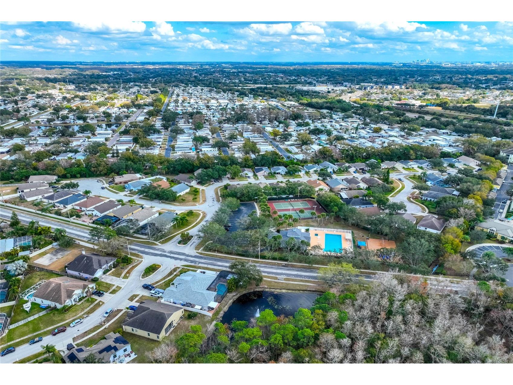 9550 Charlesberg Drive Tampa FL 33635 TB8469089 image45