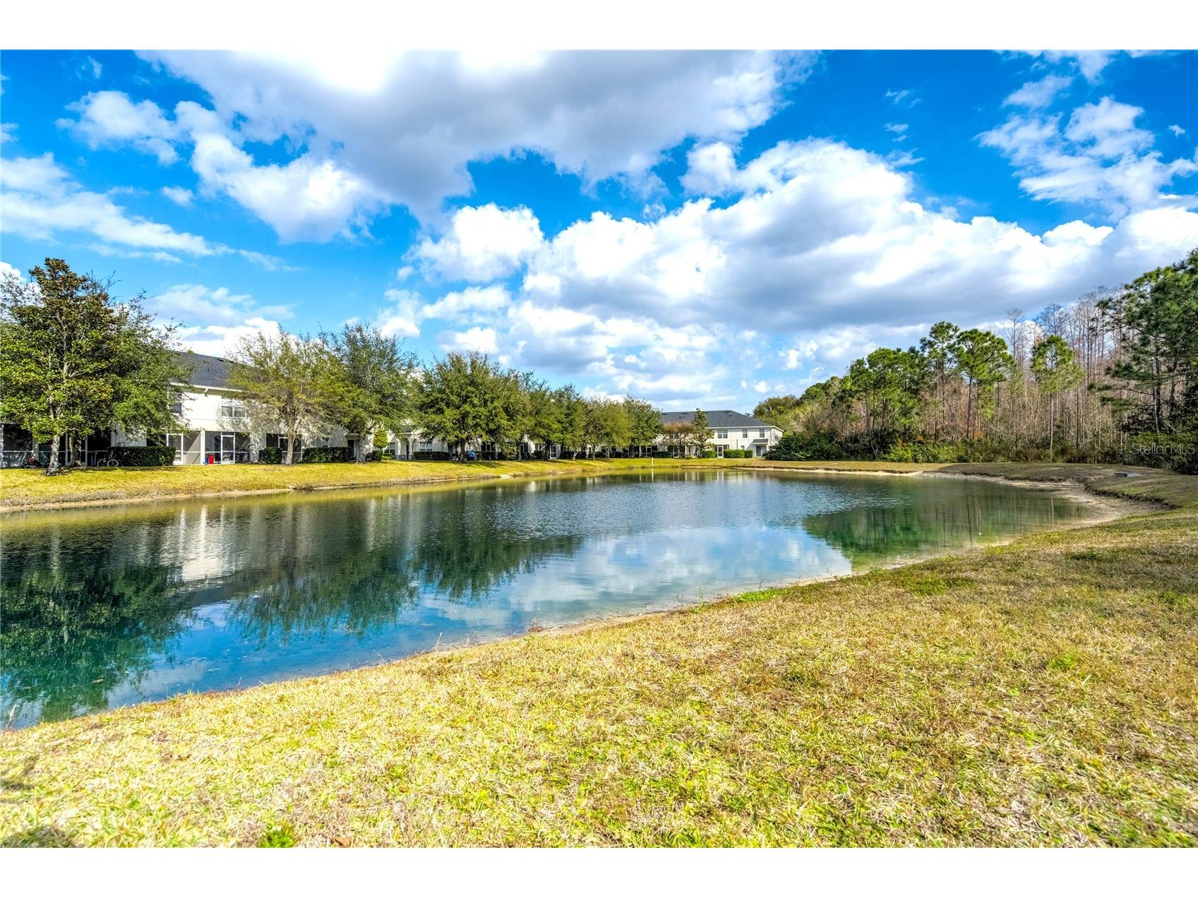 9550 Charlesberg Drive Tampa FL 33635 TB8469089 image47