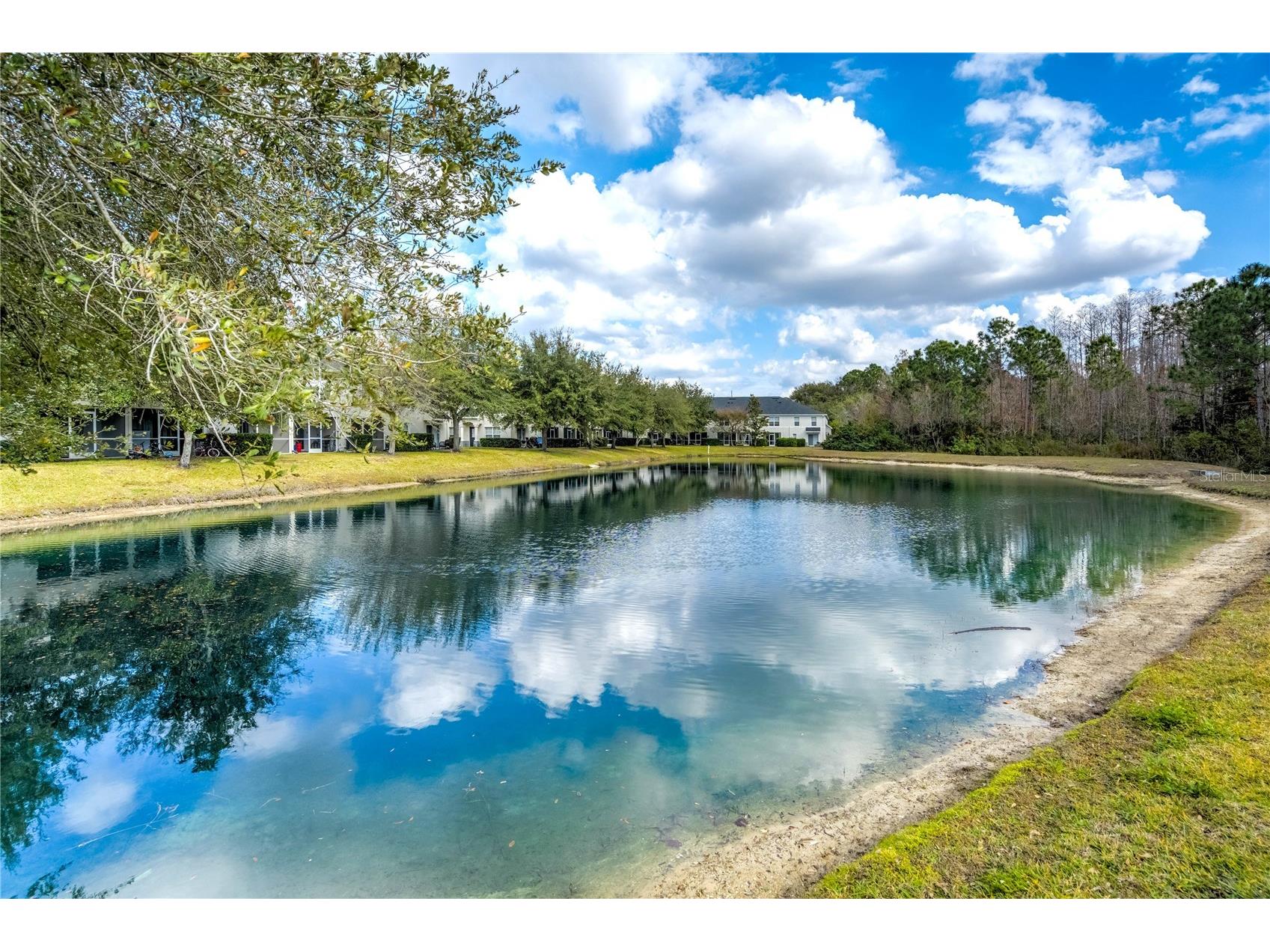 9550 Charlesberg Drive Tampa FL 33635 TB8469089 image48