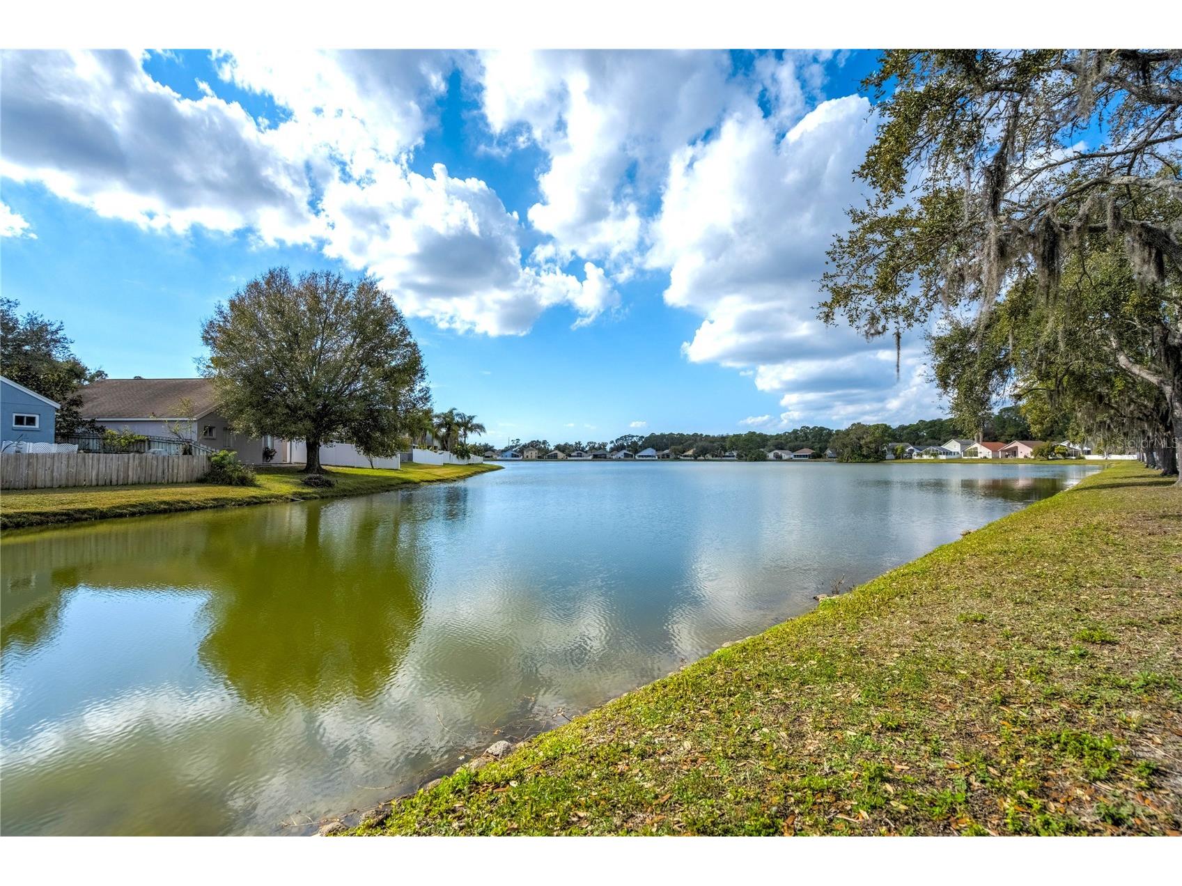 9550 Charlesberg Drive Tampa FL 33635 TB8469089 image49