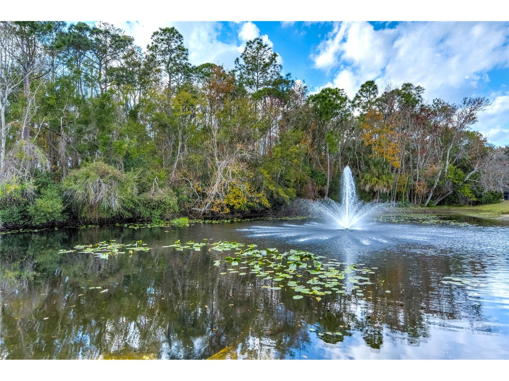 9550 Charlesberg Drive Tampa FL 33635 TB8469089 image51