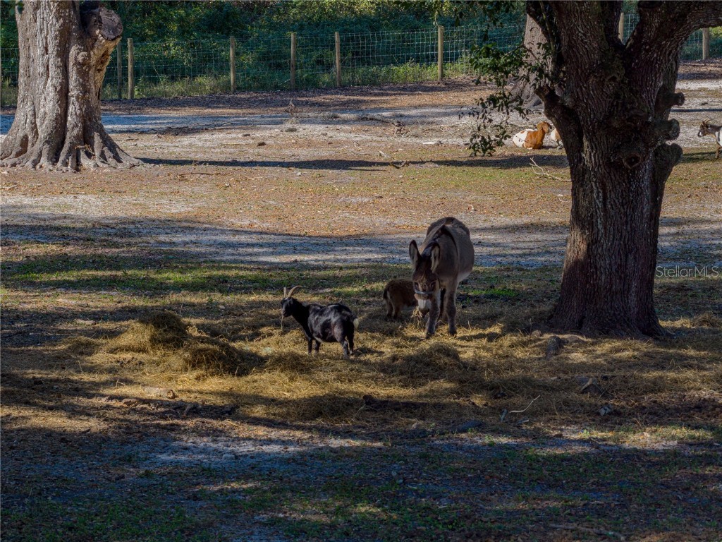 9550 Cr 614a Bushnell FL 33513 TB8449315 image90