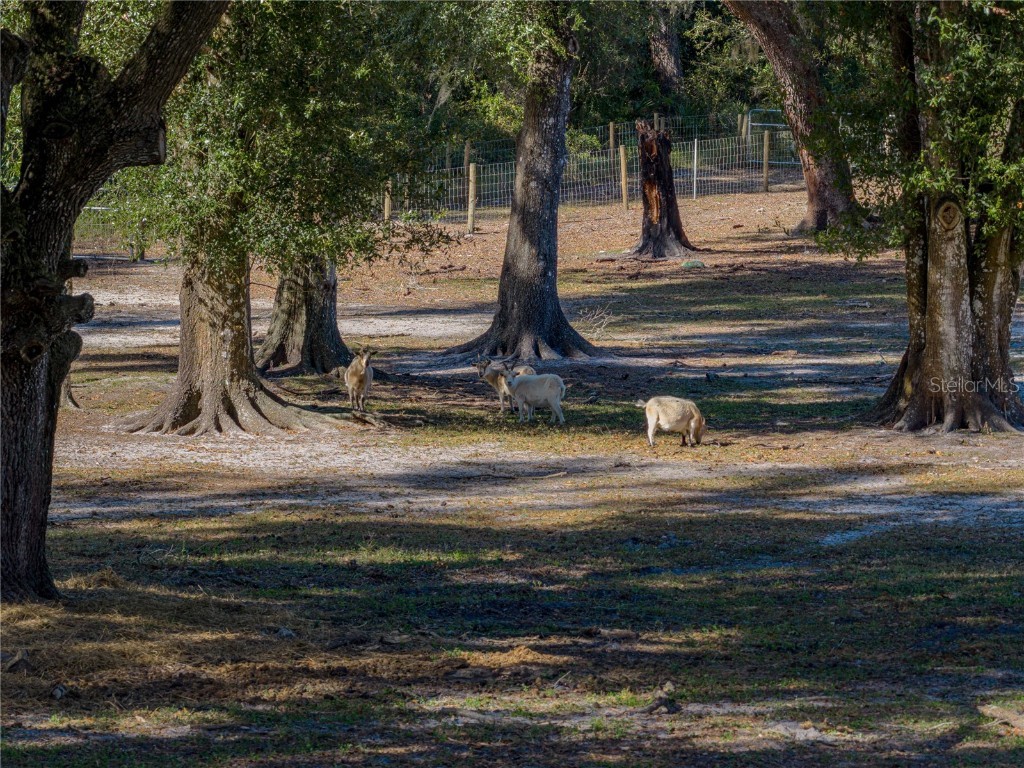 9550 Cr 614a Bushnell FL 33513 TB8449315 image91