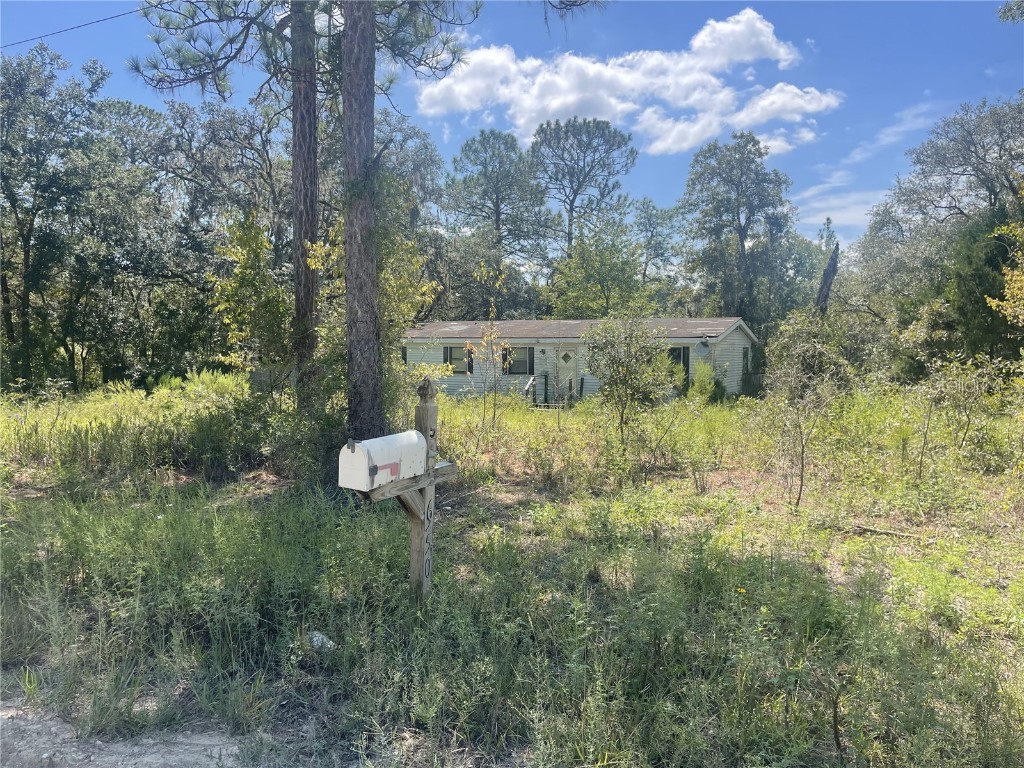 9550 NE 92nd Place Bronson FL 32621 A4583990 image1