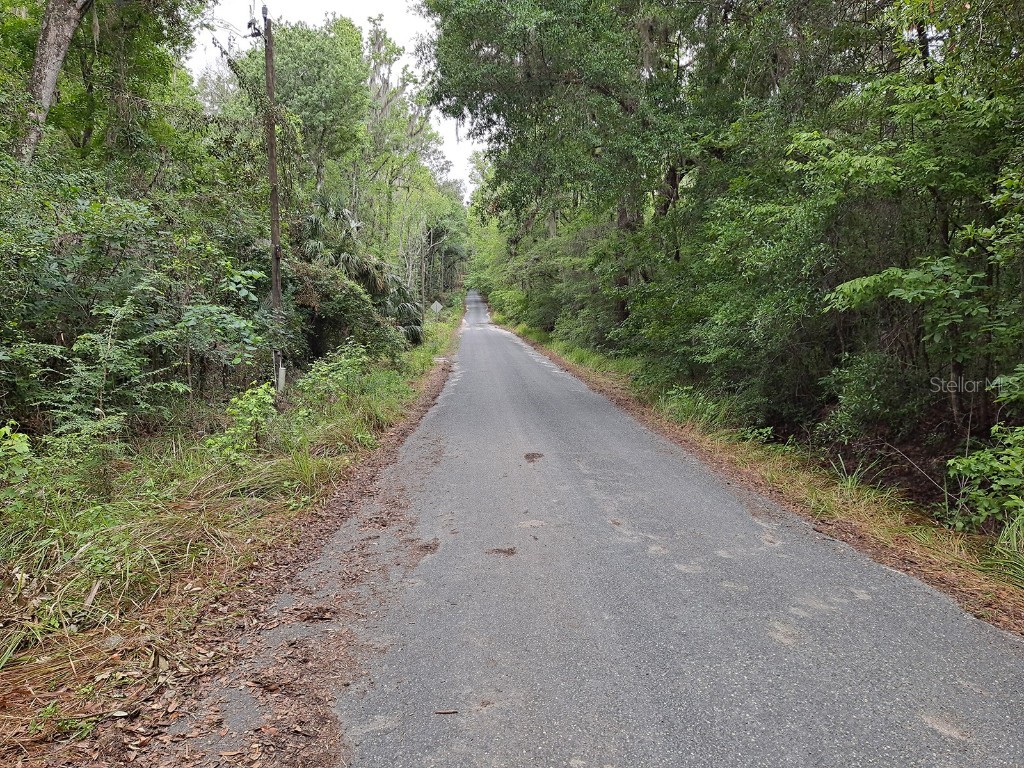 9550 NW 230 Street E Micanopy FL 32667 GC512488 image10