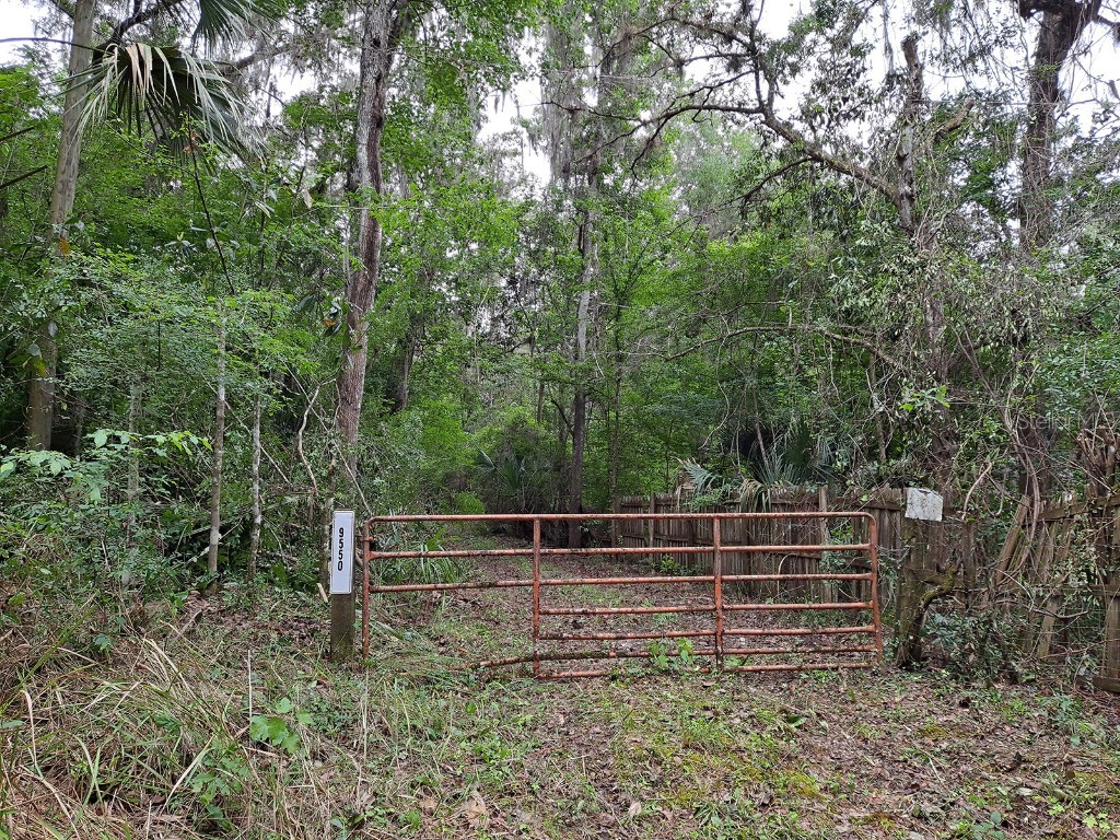 9550 NW 230 Street E Micanopy FL 32667 GC512488 image2