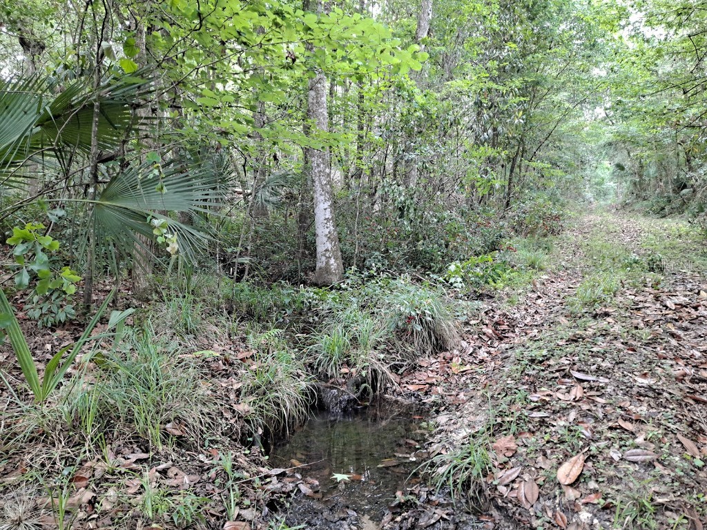 9550 NW 230 Street E Micanopy FL 32667 GC512488 image6
