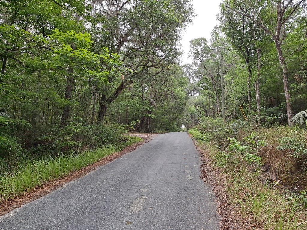 9550 NW 230 Street E Micanopy FL 32667 GC512488 image9