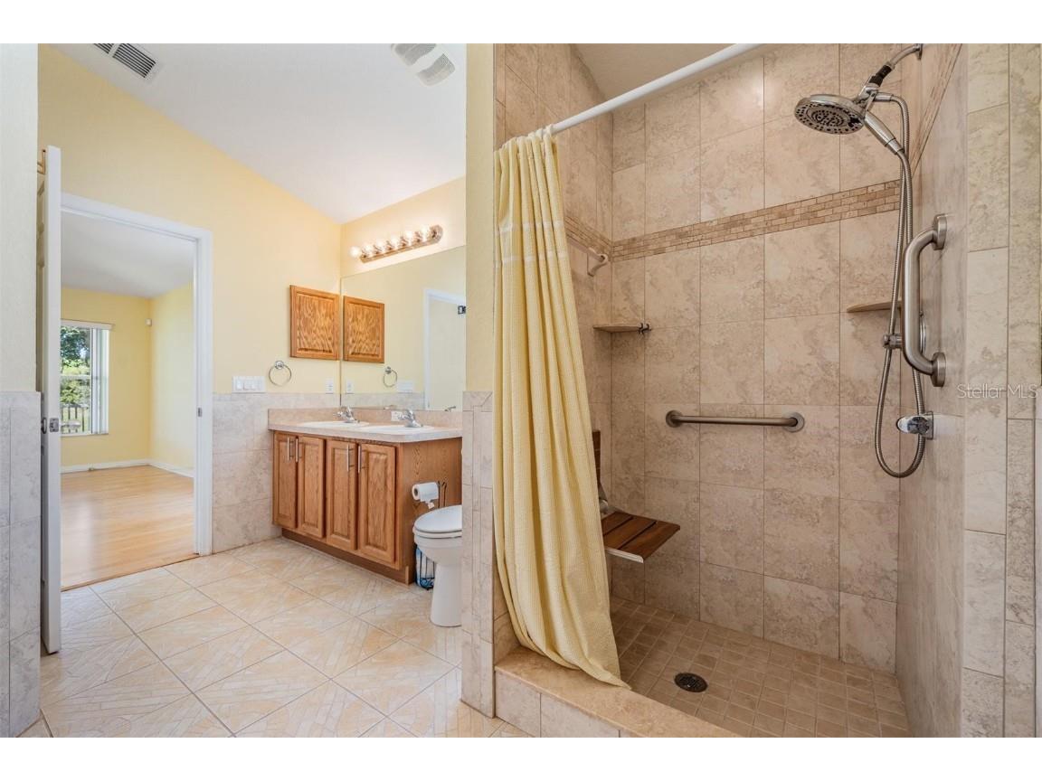 9551 Jaybird Lane Land O Lakes FL 34638 TB8438766 image25