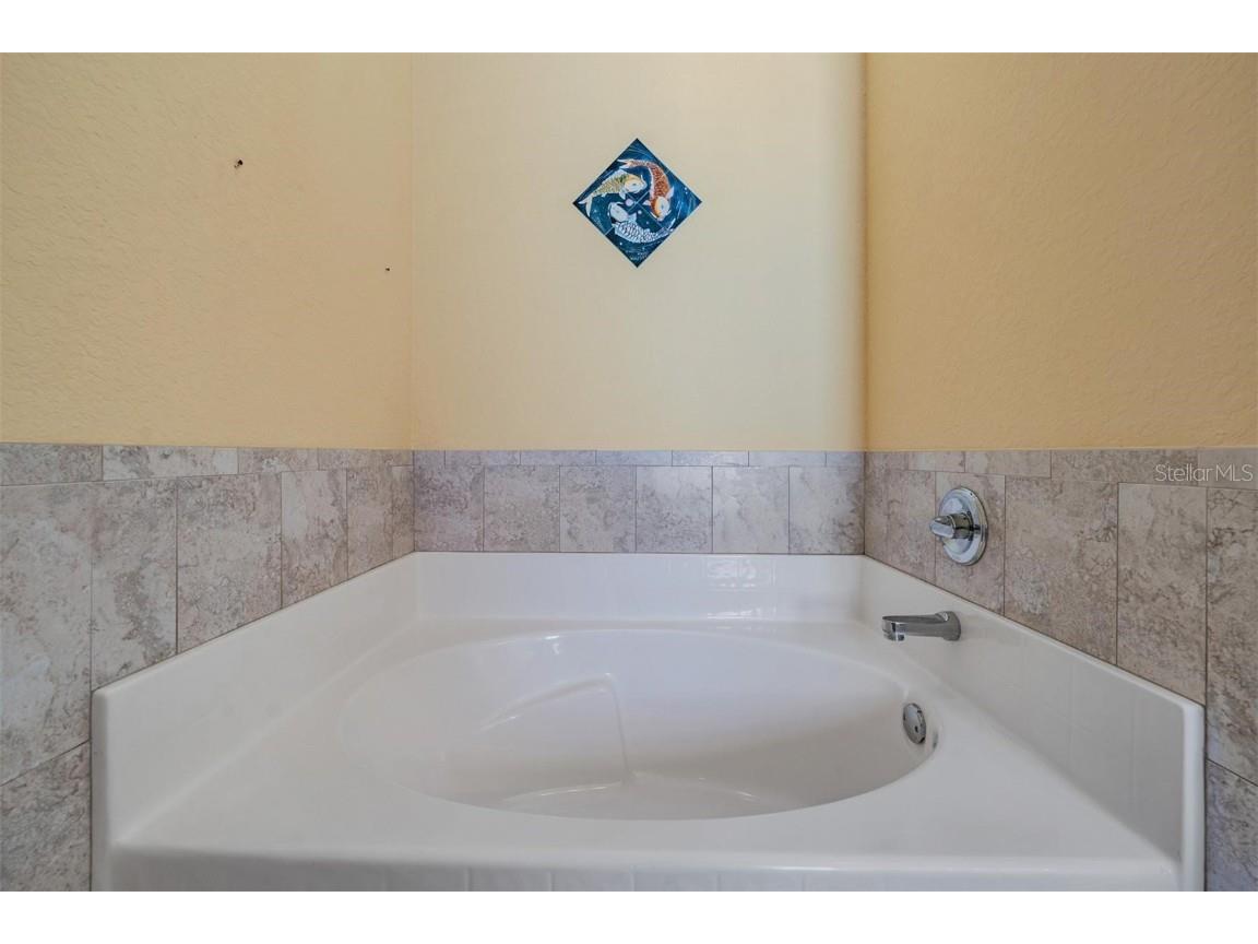 9551 Jaybird Lane Land O Lakes FL 34638 TB8438766 image26