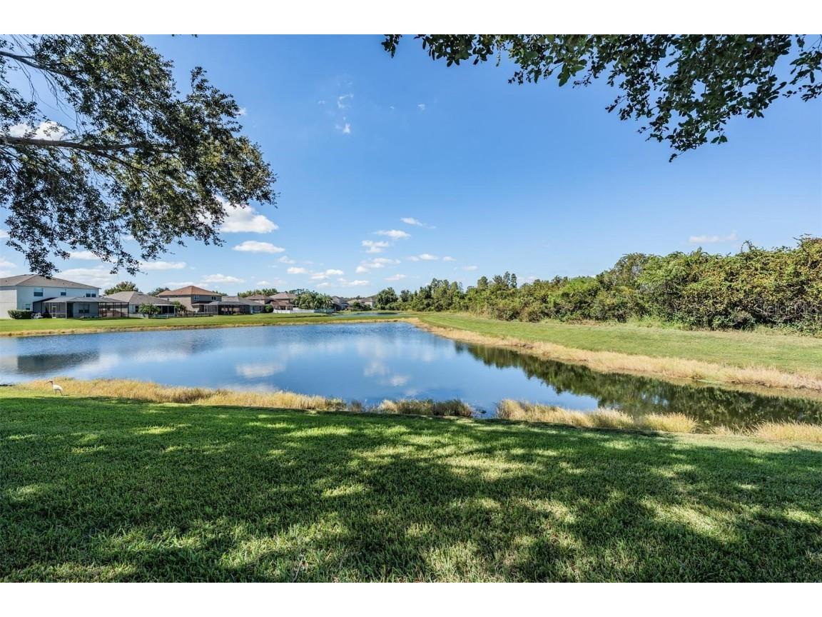 9551 Jaybird Lane Land O Lakes FL 34638 TB8438766 image33