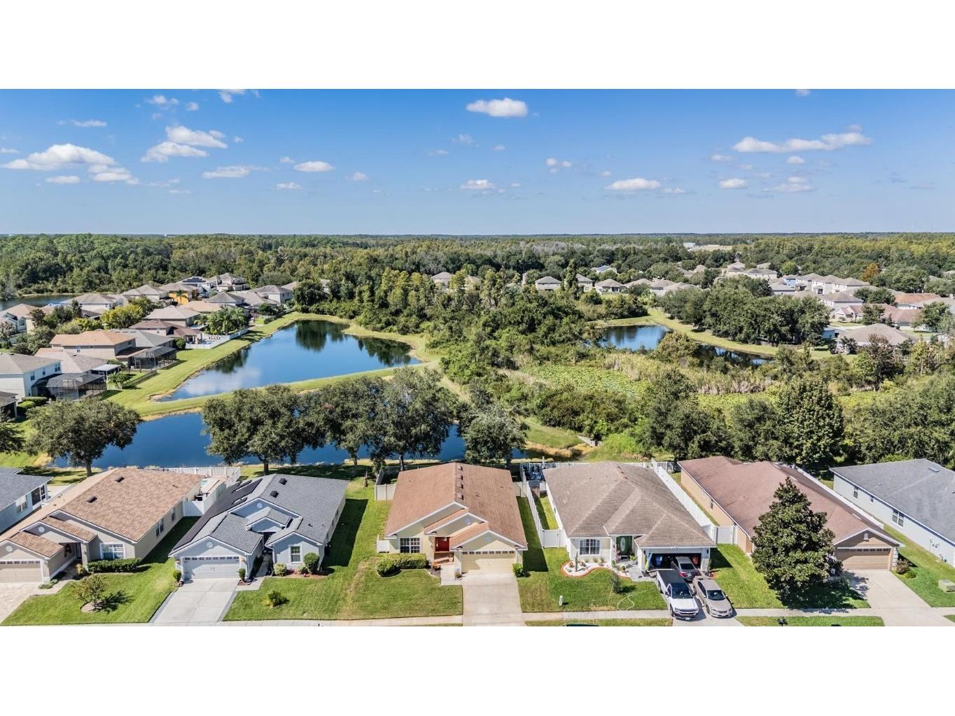 9551 Jaybird Lane Land O Lakes FL 34638 TB8438766 image42