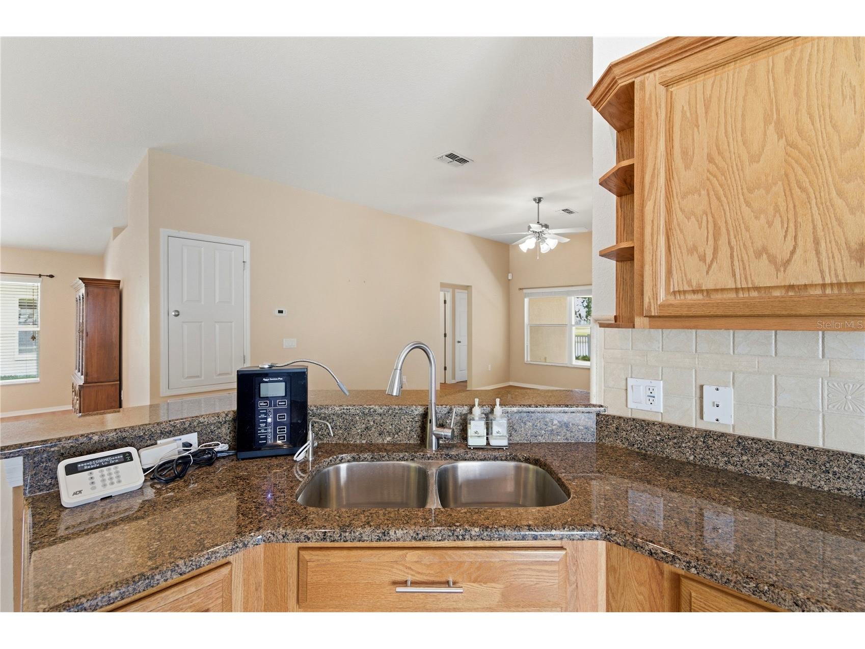 9551 Jaybird Lane Land O Lakes FL 34638 TB8501856 image21