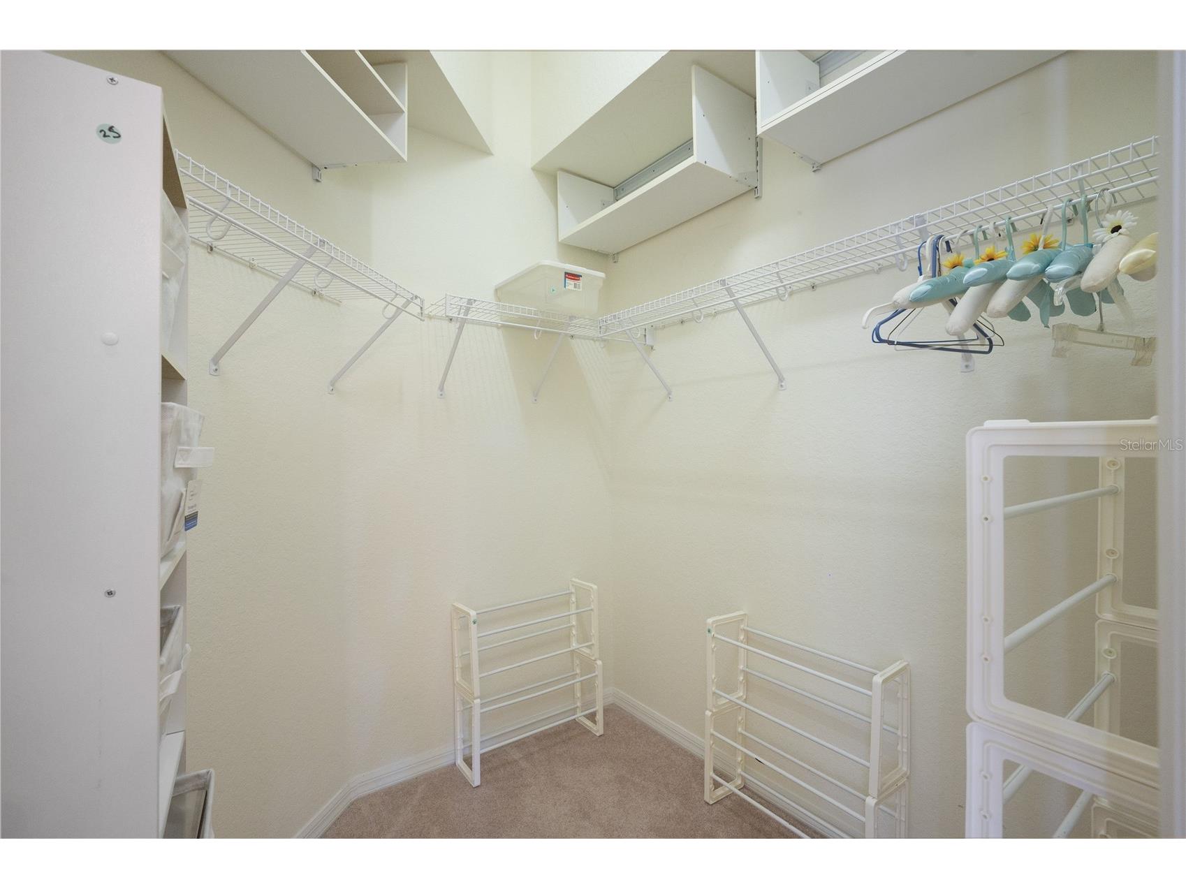 9551 Jaybird Lane Land O Lakes FL 34638 TB8501856 image43