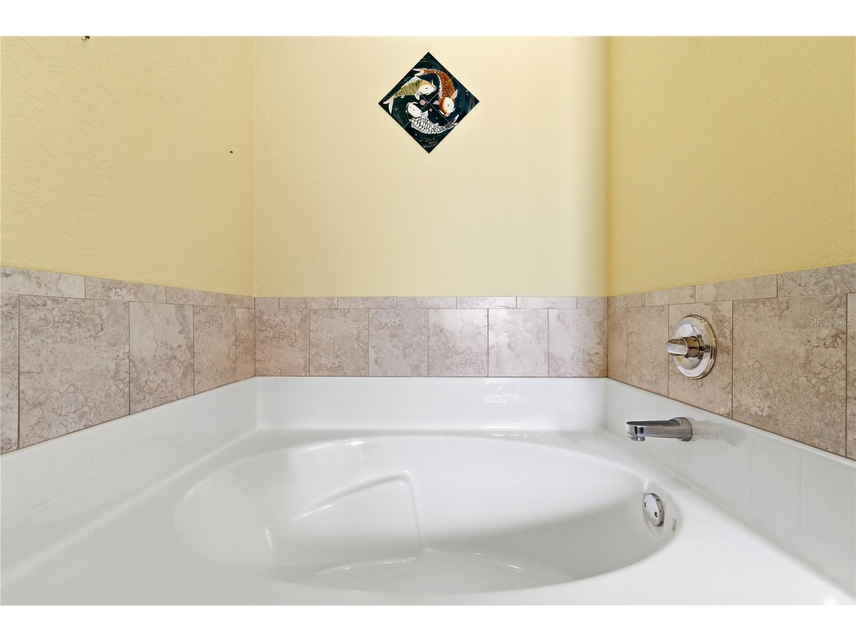 9551 Jaybird Lane Land O Lakes FL 34638 TB8501856 image46
