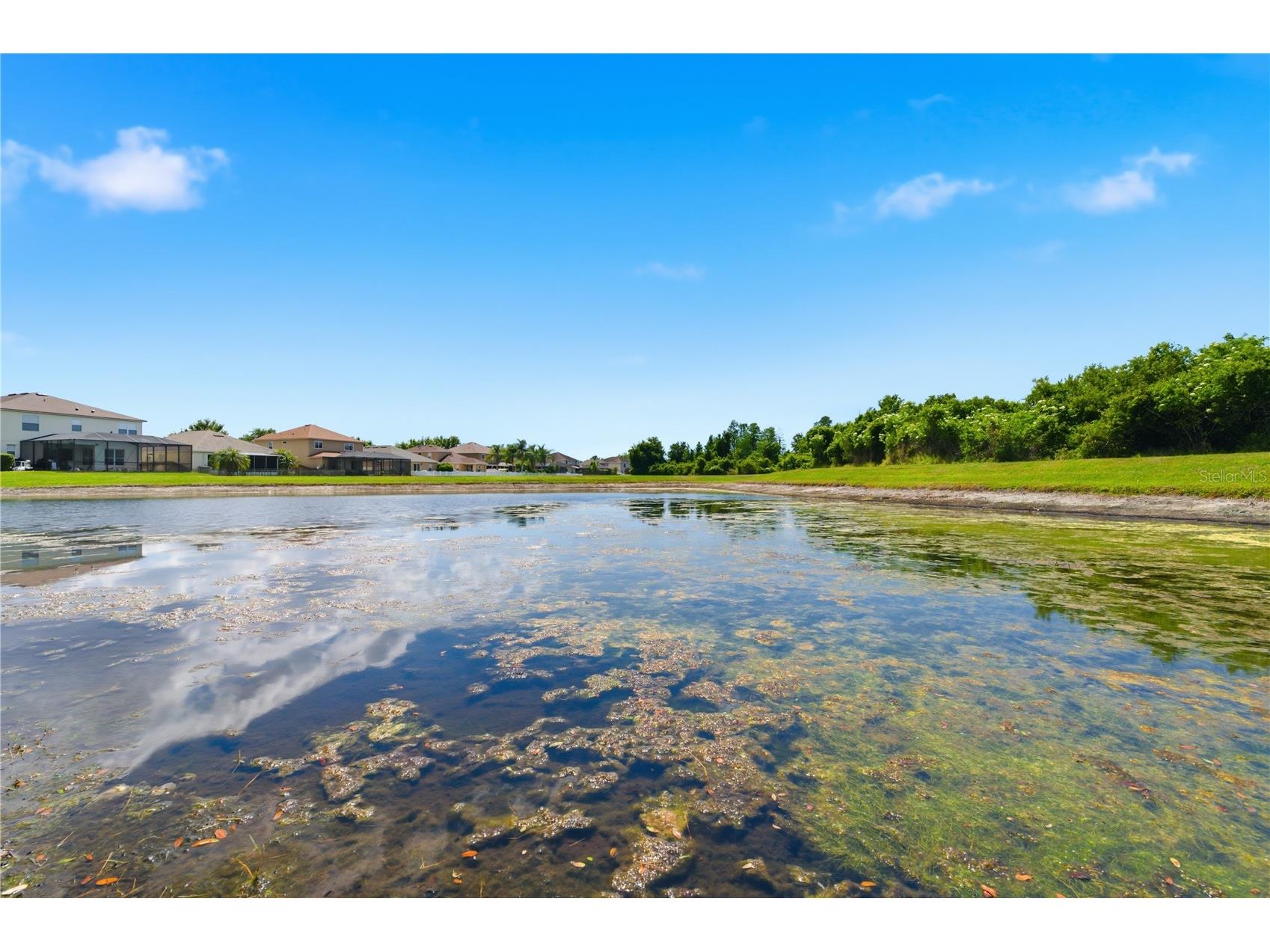 9551 Jaybird Lane Land O Lakes FL 34638 TB8501856 image61