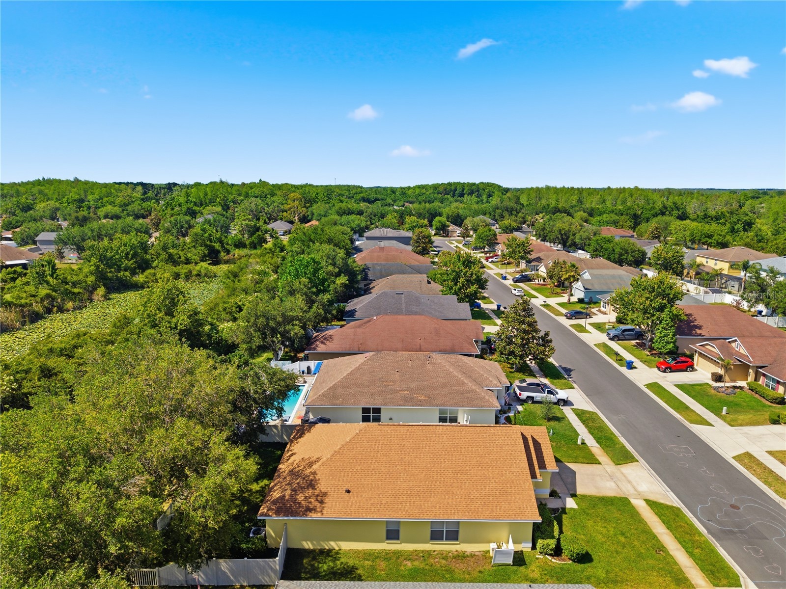 9551 Jaybird Lane Land O Lakes FL 34638 TB8501856 image63