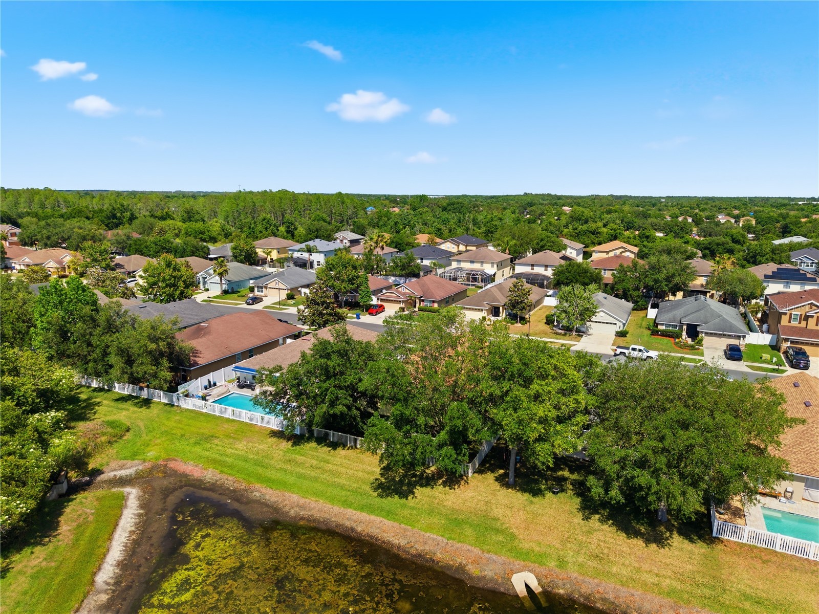 9551 Jaybird Lane Land O Lakes FL 34638 TB8501856 image64