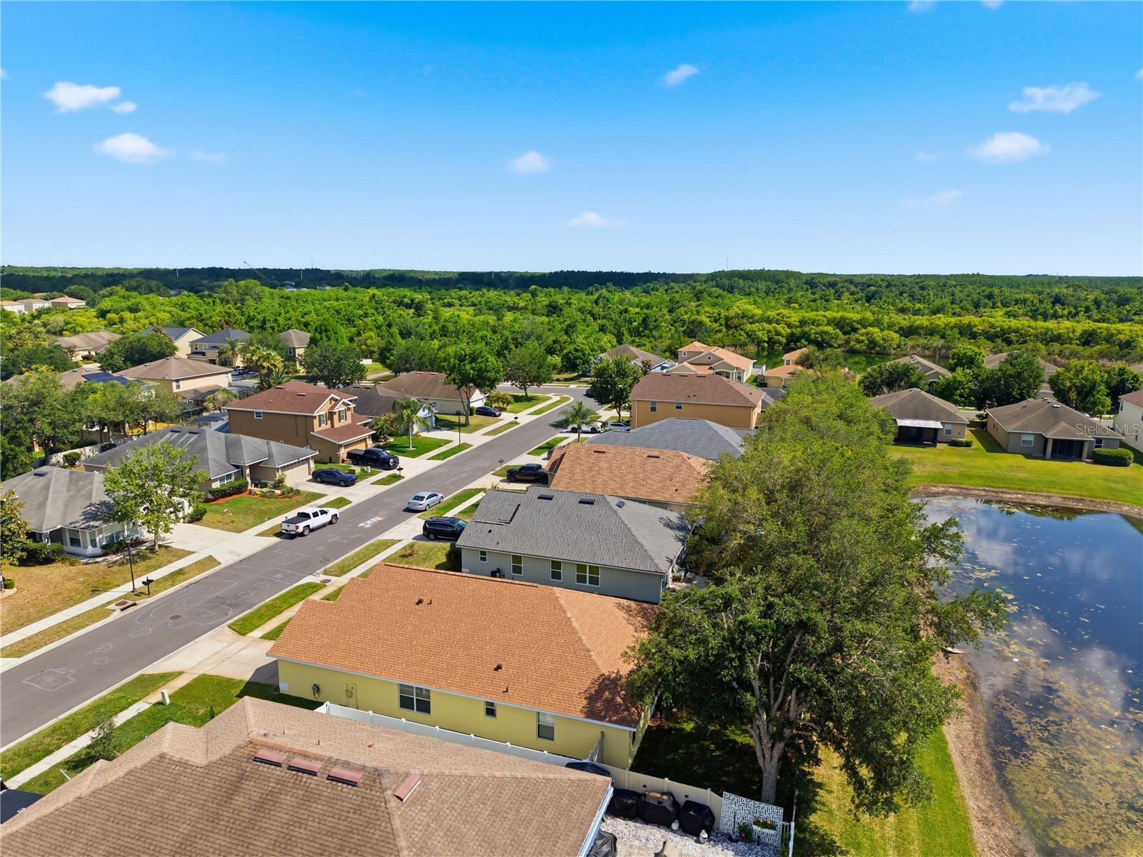 9551 Jaybird Lane Land O Lakes FL 34638 TB8501856 image66