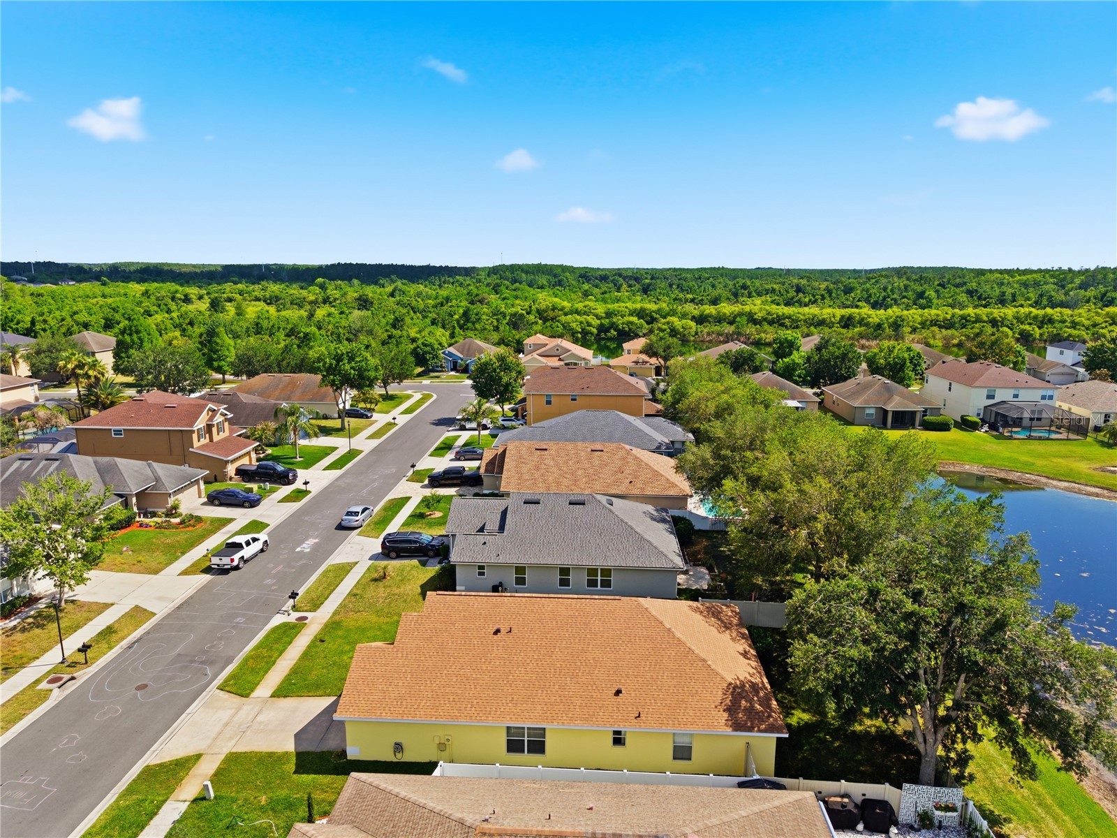 9551 Jaybird Lane Land O Lakes FL 34638 TB8501856 image67