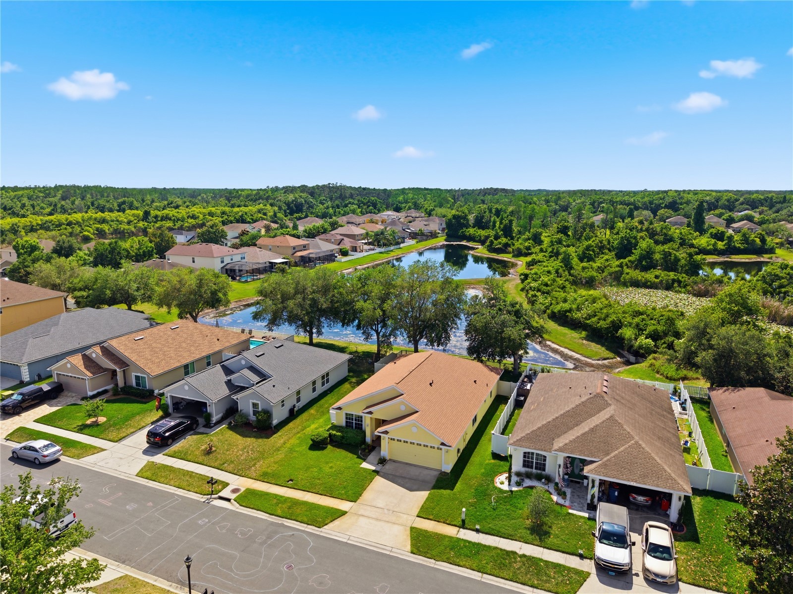 9551 Jaybird Lane Land O Lakes FL 34638 TB8501856 image68