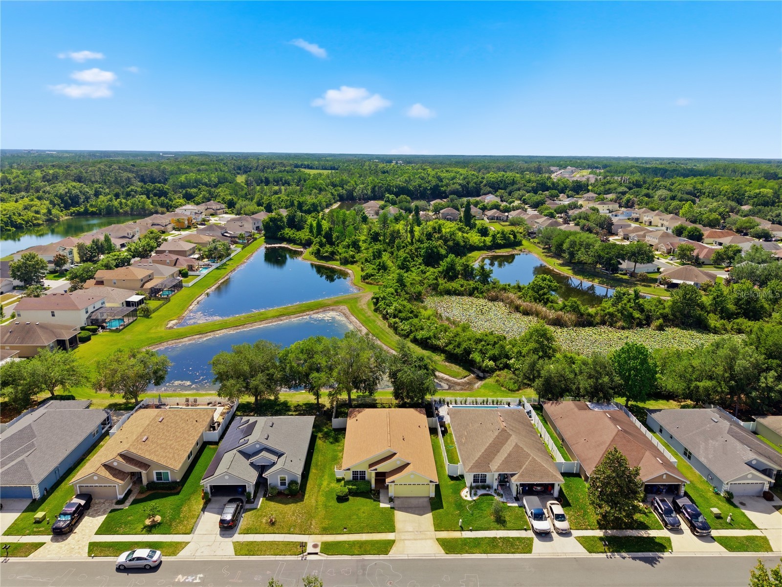 9551 Jaybird Lane Land O Lakes FL 34638 TB8501856 image70
