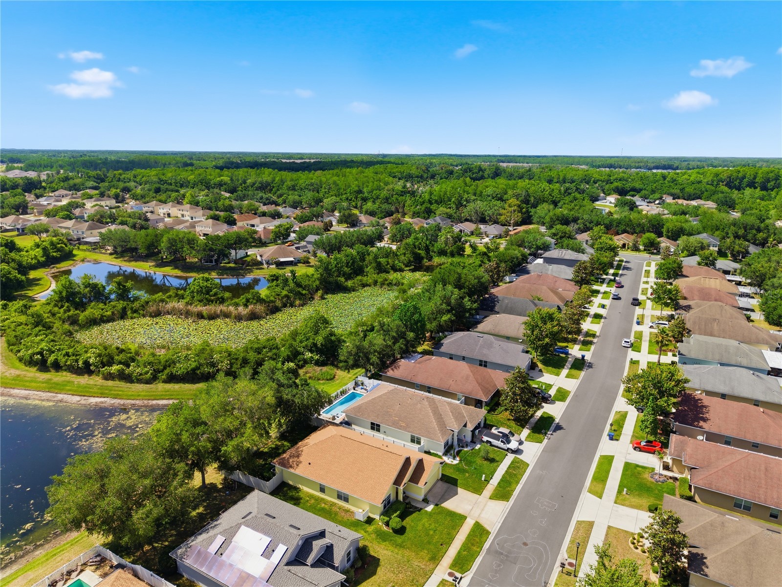 9551 Jaybird Lane Land O Lakes FL 34638 TB8501856 image71