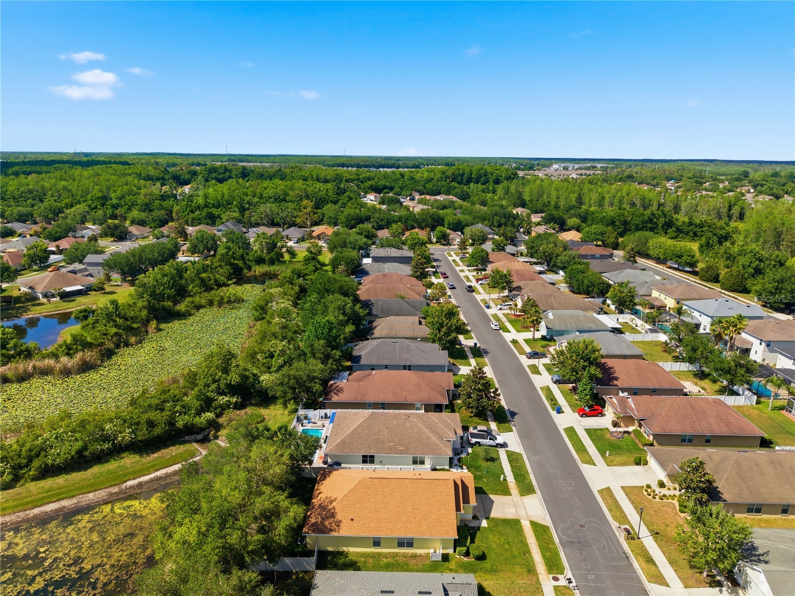9551 Jaybird Lane Land O Lakes FL 34638 TB8501856 image72