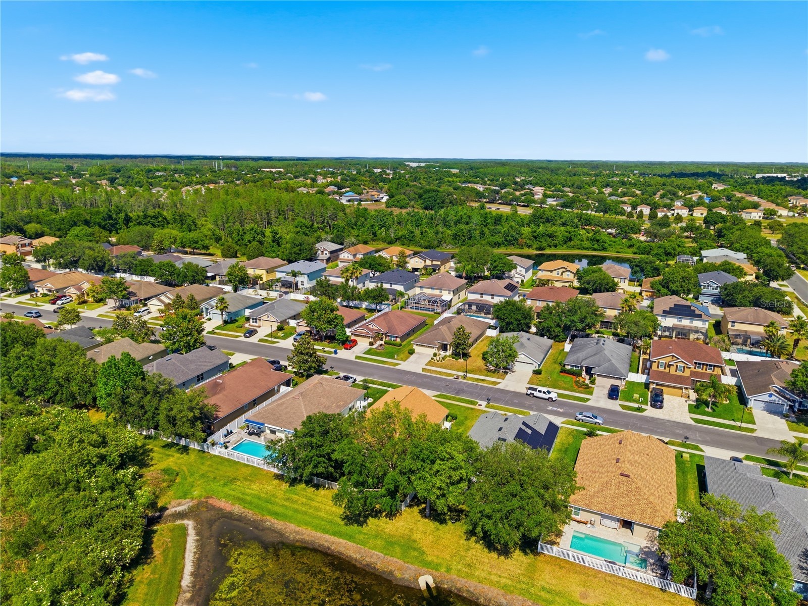 9551 Jaybird Lane Land O Lakes FL 34638 TB8501856 image73
