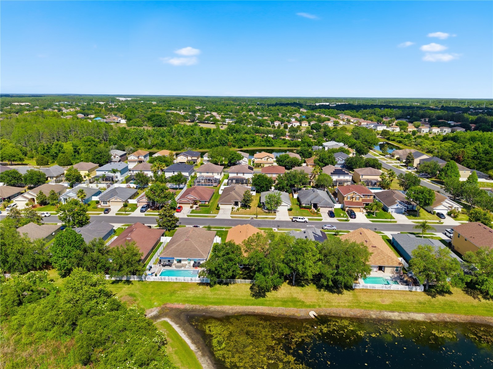 9551 Jaybird Lane Land O Lakes FL 34638 TB8501856 image74