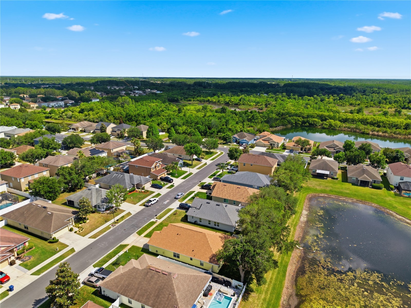9551 Jaybird Lane Land O Lakes FL 34638 TB8501856 image75