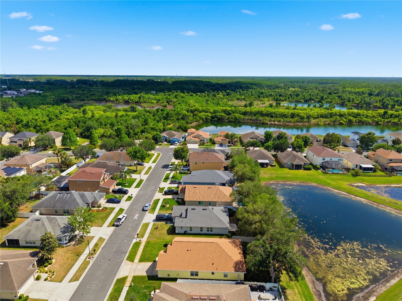 9551 Jaybird Lane Land O Lakes FL 34638 TB8501856 image76