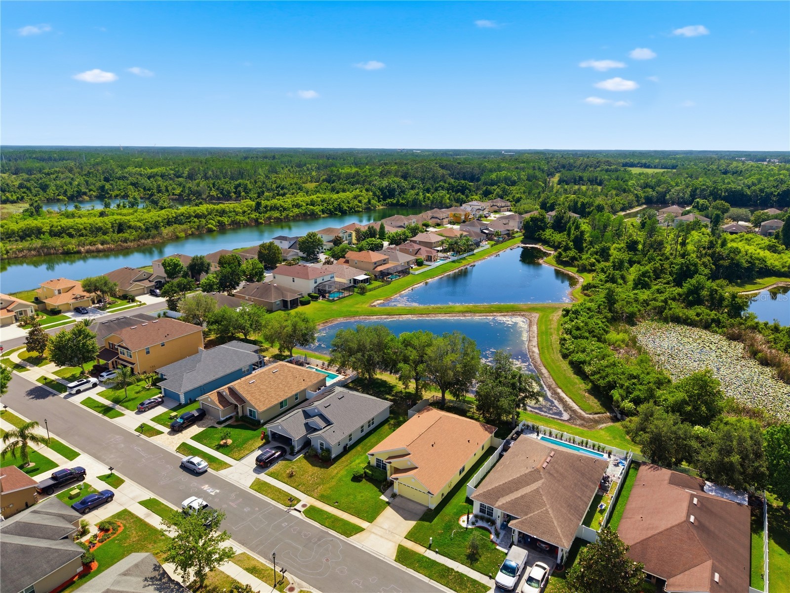 9551 Jaybird Lane Land O Lakes FL 34638 TB8501856 image77