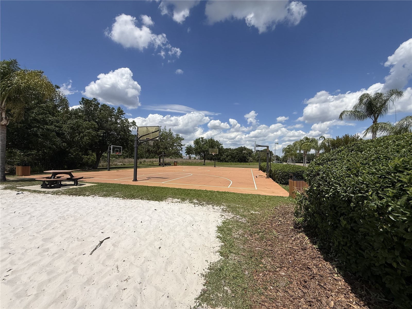 9551 Jaybird Lane Land O Lakes FL 34638 TB8501856 image80