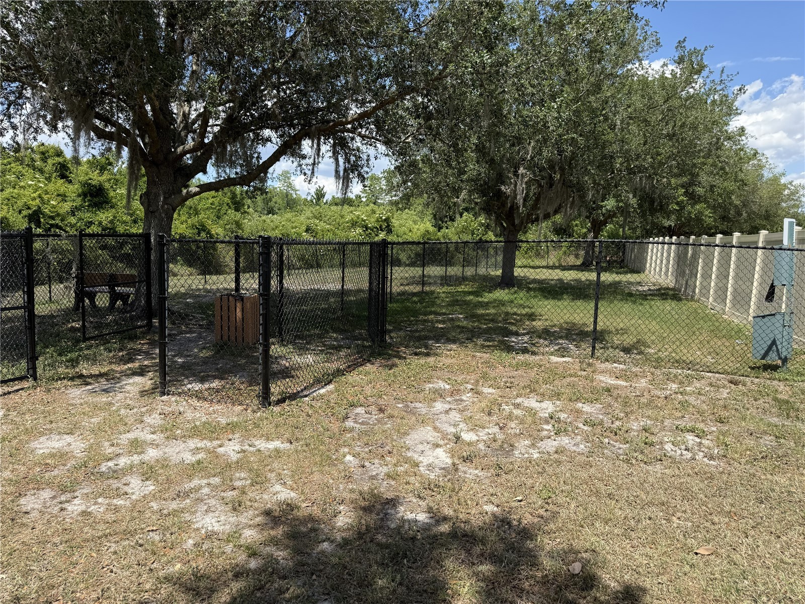 9551 Jaybird Lane Land O Lakes FL 34638 TB8501856 image84