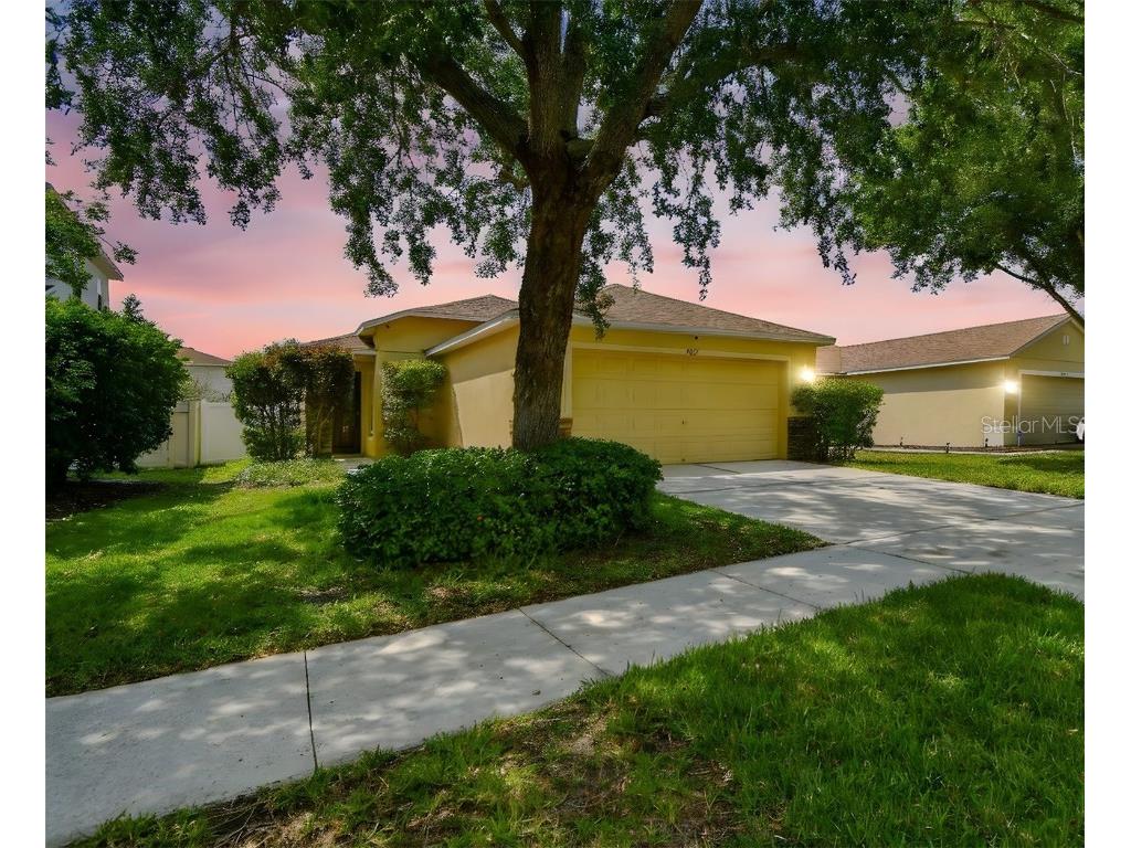 9551 Maxson Drive Land O Lakes FL 34638 TB8381597 image1