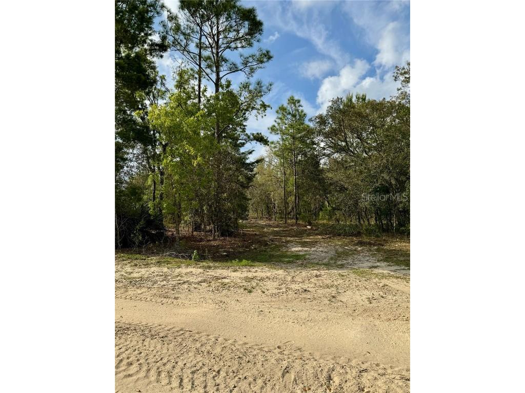 9551 NE 75th Street Bronson FL 32621 OM676527 image1