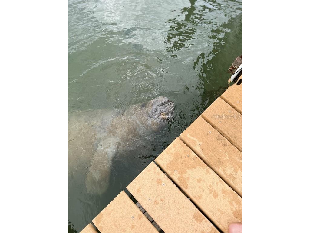 9552 Buccaneer Trail Placida FL 33946 D6144440 image22